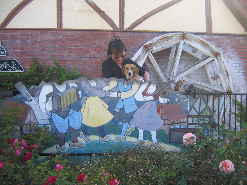 Kicking up our heels back in Solvang