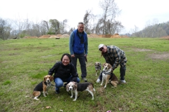 Bay Area Beagles Knoxville meetup