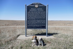 Willa Cather Memorial Prairie