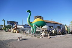 Dinosaurs at the Rainbow Rock Shop
