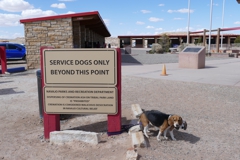 Service Dogs Only Beyond This Point