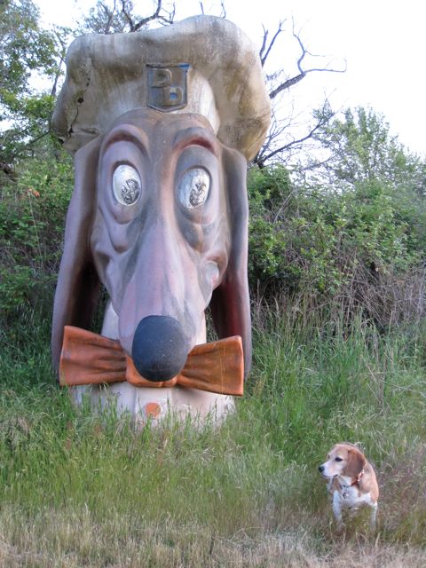 Return to the Doggie Diner head, May 2011
