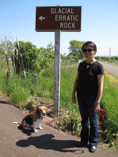 This Way to the Glacial Erratic Rock