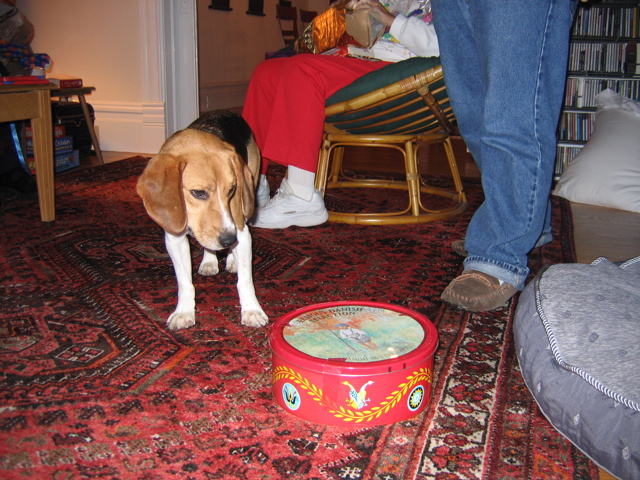 Huxley and the cookie tin 1