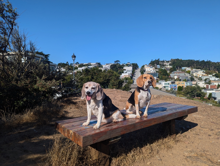 Wallace and Halley on the Grand View Tour: Kite Hill