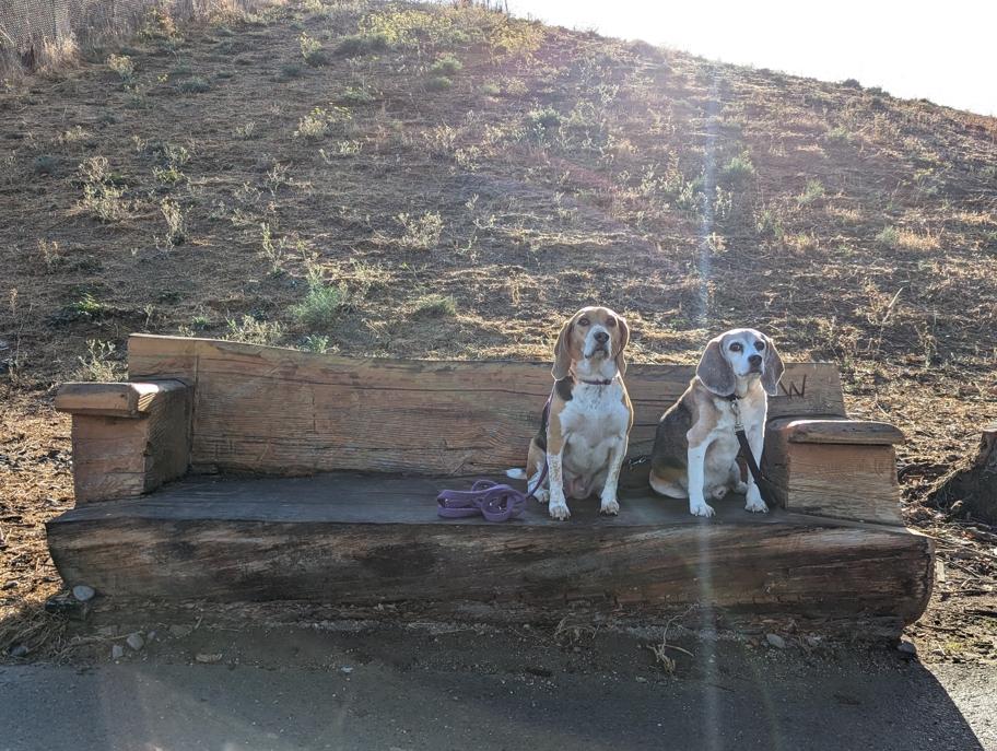 Burlingame Dog Exercise Park