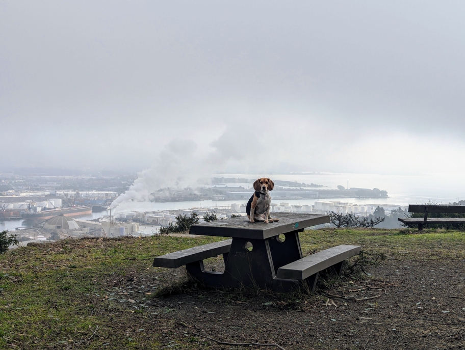 Miller/Knox Regional Shoreline