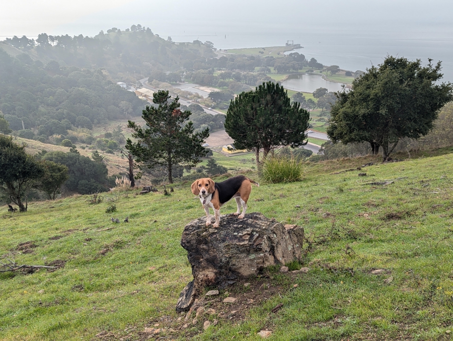 Miller/Knox Regional Shoreline