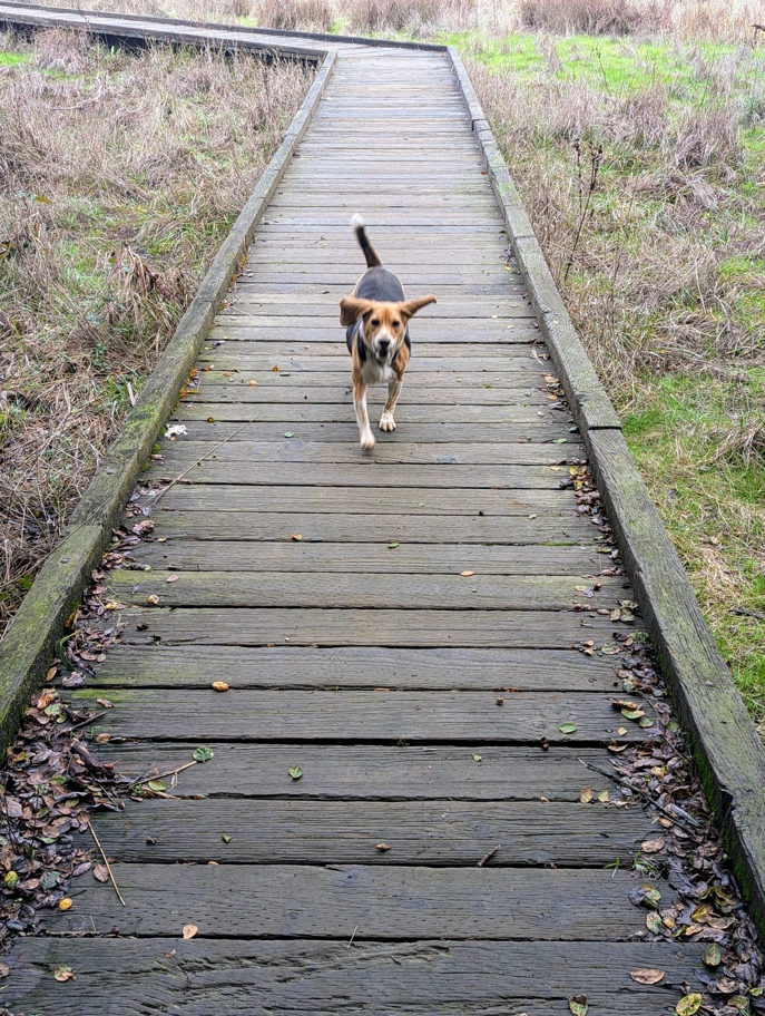 Miller/Knox Regional Shoreline