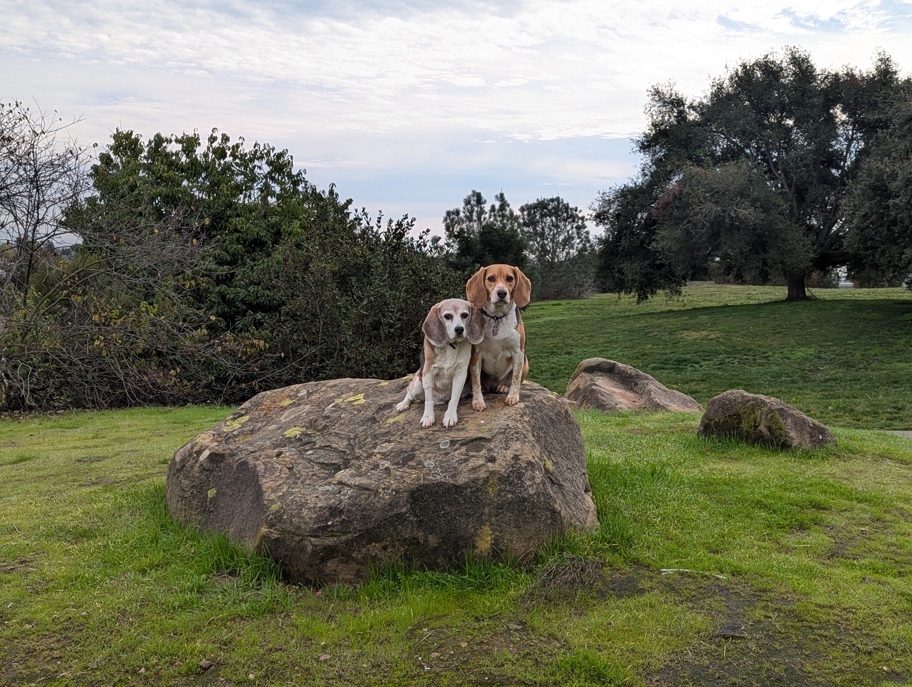 Oyster Bay Regional Shoreline