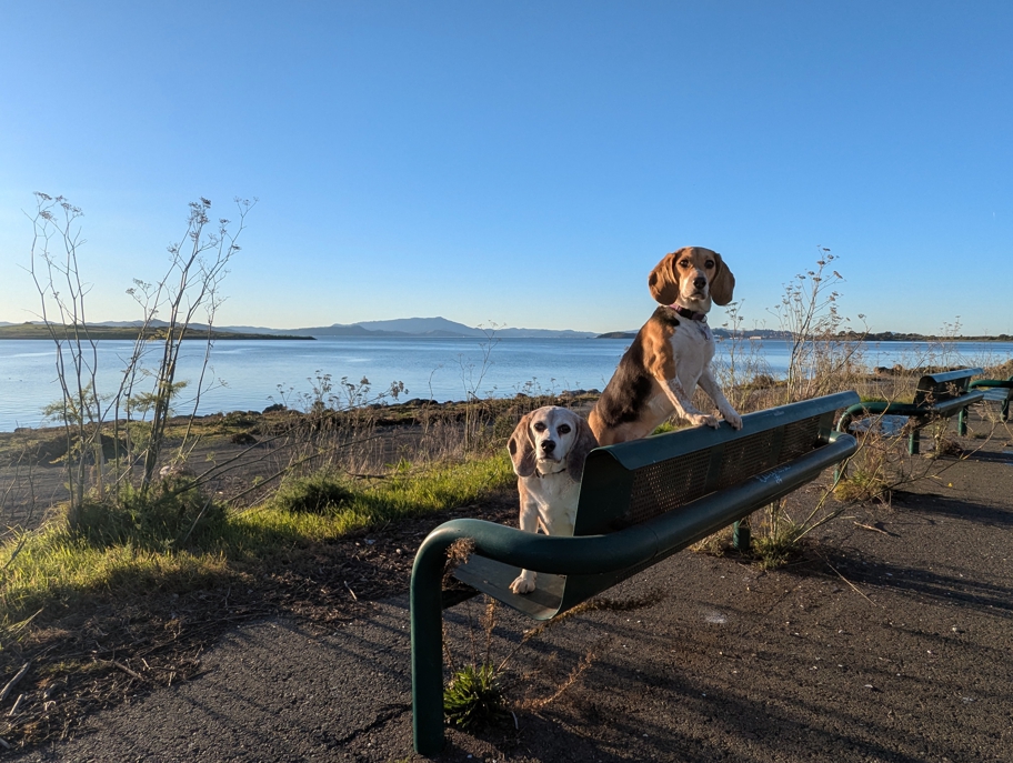 McLaughlin Eastshore State Park