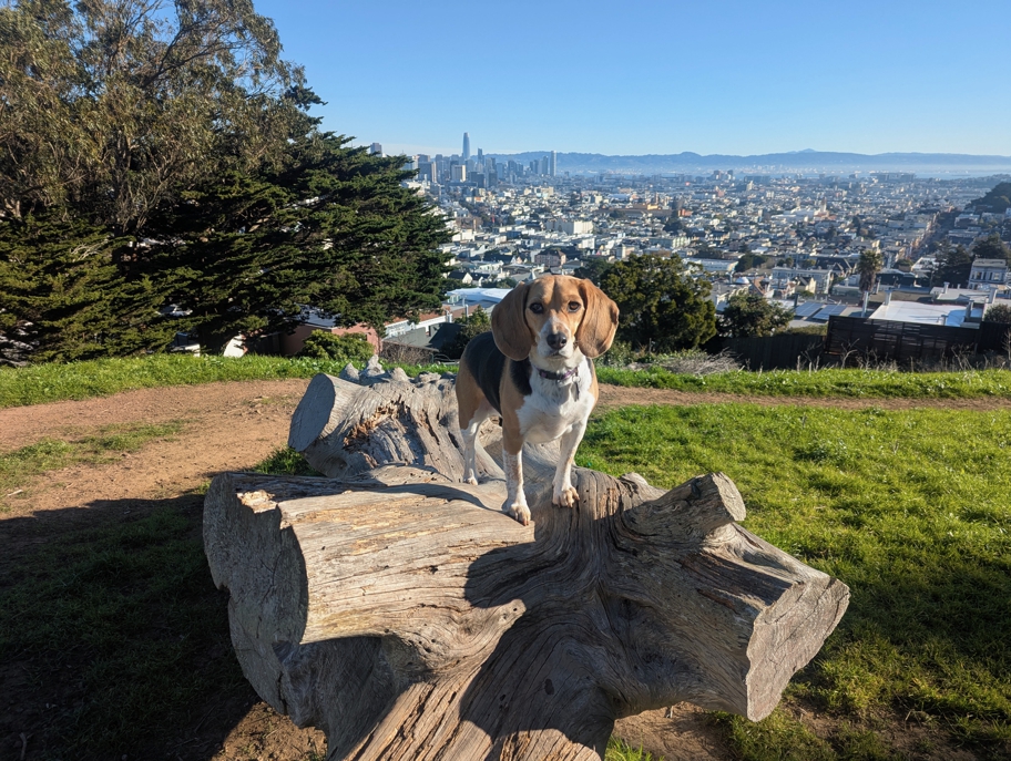 Kite Hill