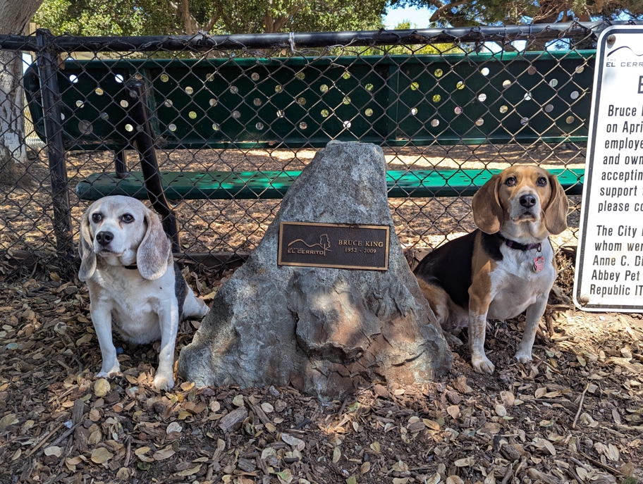 Bruce King Memorial Dog Park