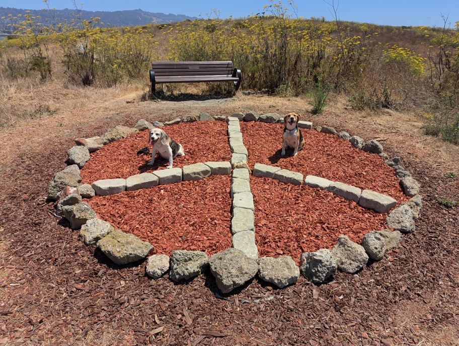 Cesar Chavez Park