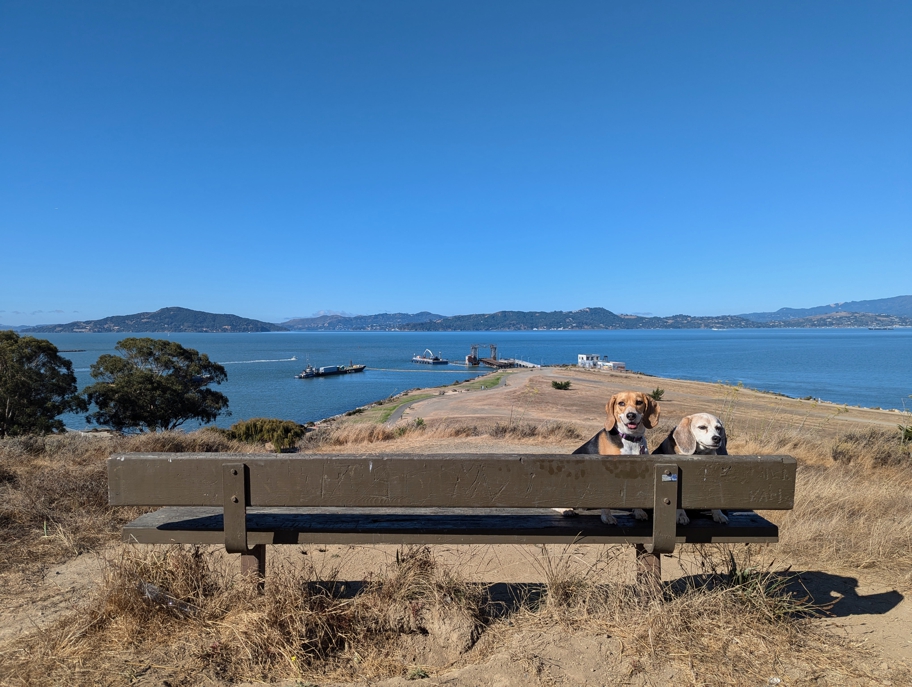 Miller/Knox Regional Shoreline