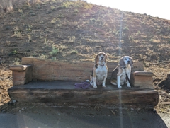 Burlingame Dog Exercise Park