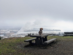 Miller/Knox Regional Shoreline