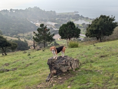 Miller/Knox Regional Shoreline