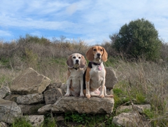 Oyster Bay Regional Shoreline