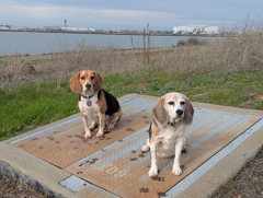 Oyster Bay Regional Shoreline