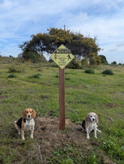 Oyster Bay Regional Shoreline