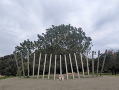 Oyster Bay Regional Shoreline