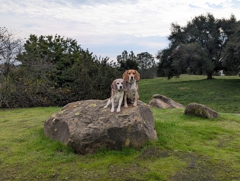 Oyster Bay Regional Shoreline