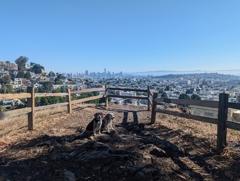 Wallace and Halley on the Grand View Tour: Billy Goat Hill