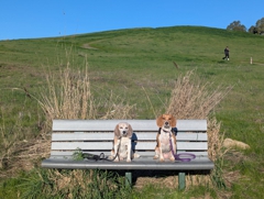 Bedwell Bayfront Park
