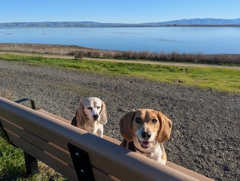 Bedwell Bayfront Park