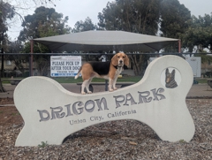 Drigon Park