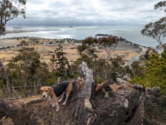 Bayview Hill