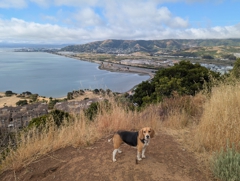 Bayview Hill