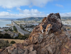 Bayview Hill
