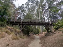 Dracena Quarry Park