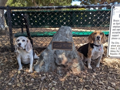 Bruce King Memorial Dog Park
