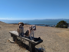Miller/Knox Regional Shoreline