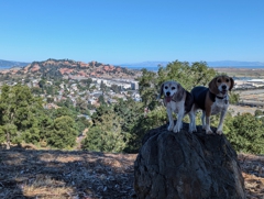 Miller/Knox Regional Shoreline