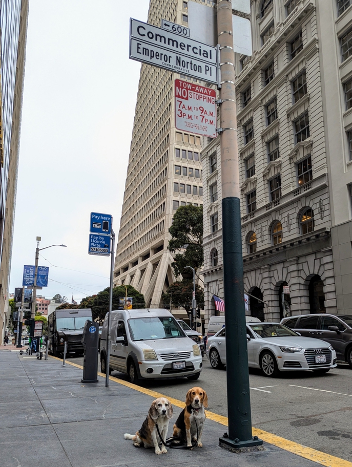 Emperor Norton Place