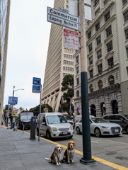 Emperor Norton Place