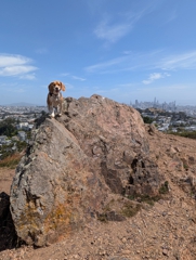 Tank Hill