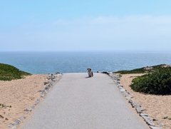 Fort Funston