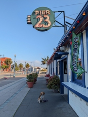 Pier 23