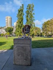 Washington Square