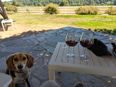 Happy hour