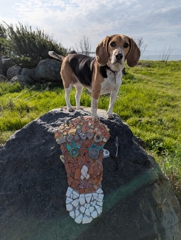Mosaic face
