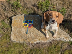 Little mosaic