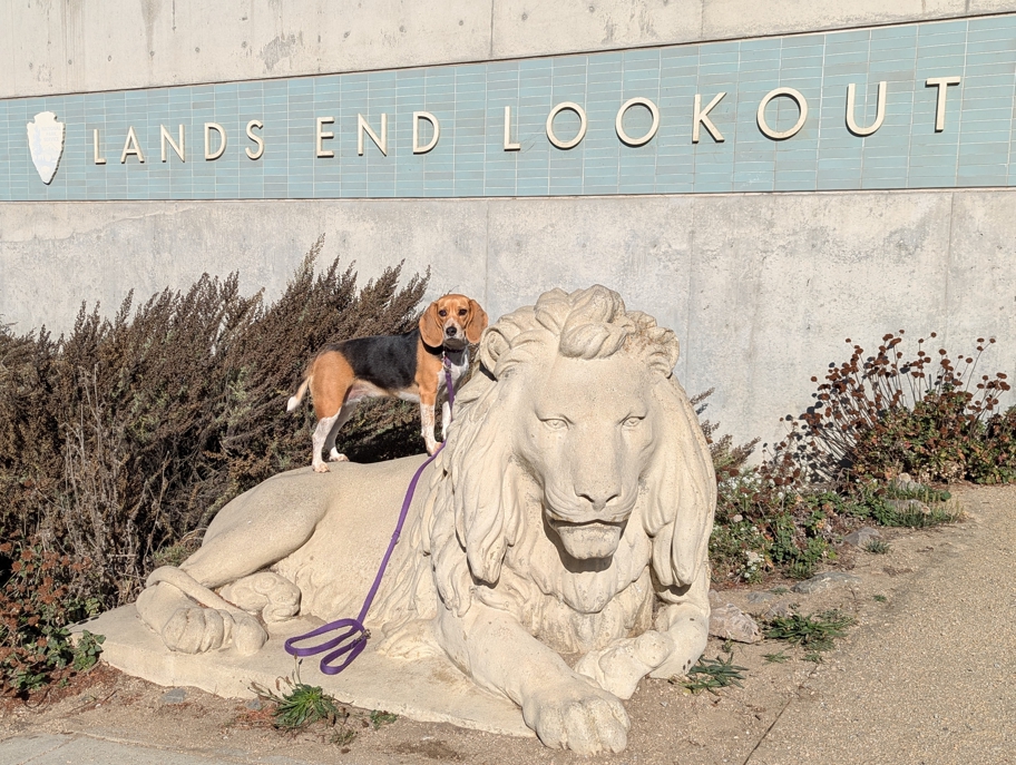 Lands End Lookout