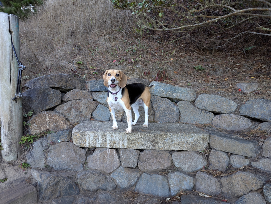 Lands End bench