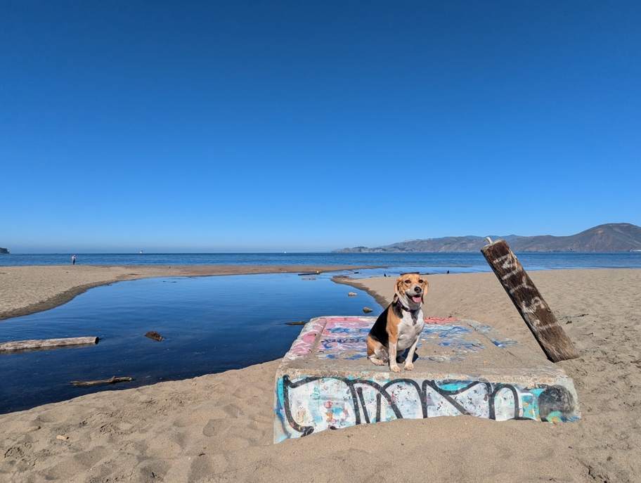 Baker Beach